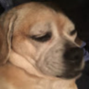 Meet your Posher, Corinne